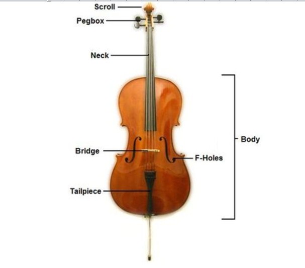 Konstruksi Cello